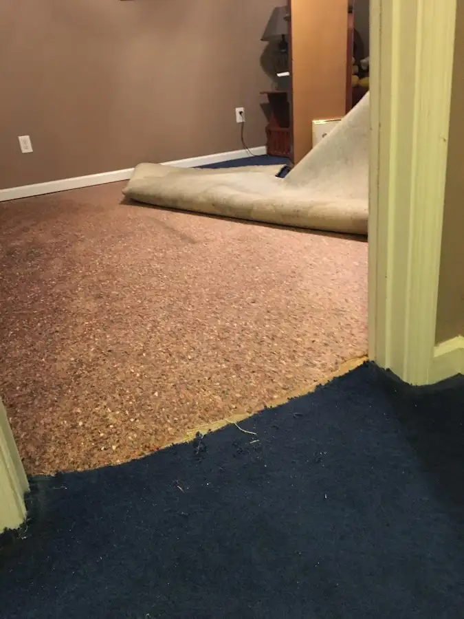 Carpet pad removal revealing water damage during Water Mitigation Services in South Kensington