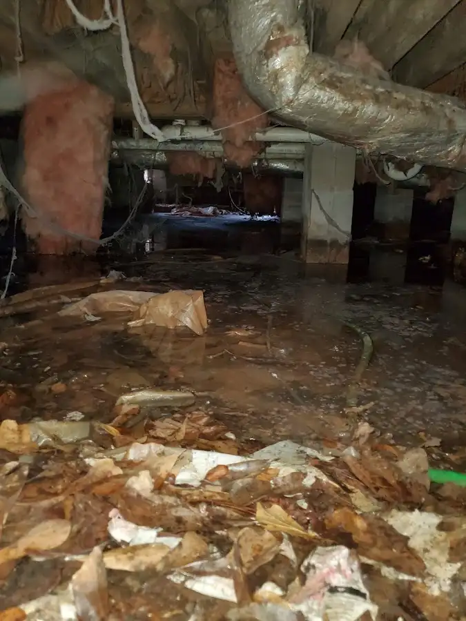 Crawl space flood assessment for Commercial Water Damage Restoration in South Kensington